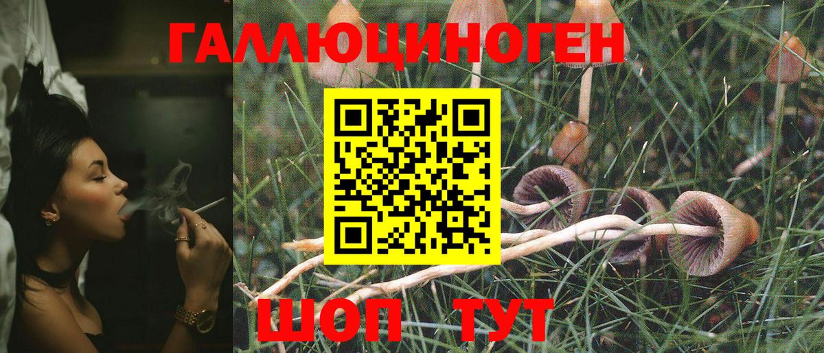 Белогорск  Галлюциногенные грибы GOLDEN TEACHER  Галлюциногенные грибы мухоморы  Вход с VPN 