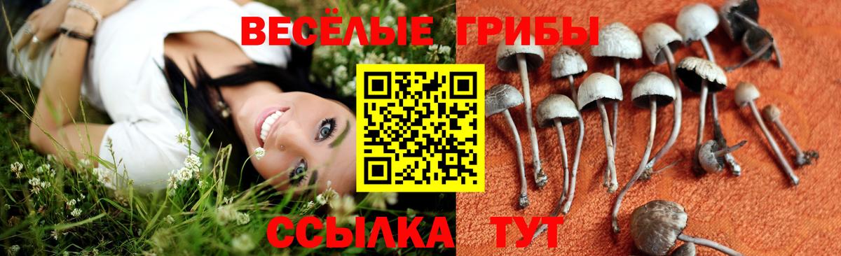 APVP СК кристаллы  Вход с VPN  МЕТАМФЕТАМИН  Меф   Марихуана  Белогорск  MDMA  КОКАИН 